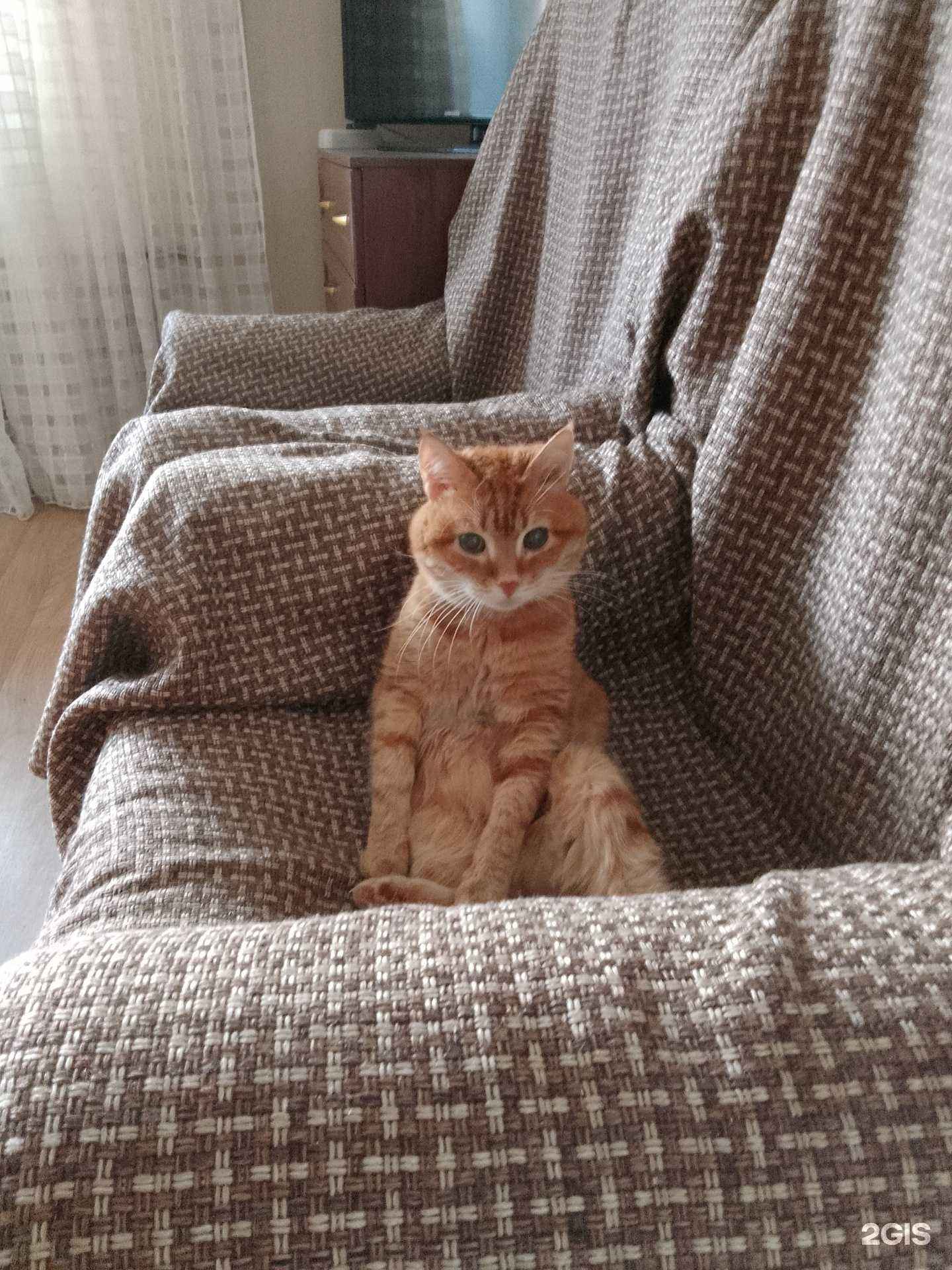 Отзывы на компанию Умка в Уфе c фото