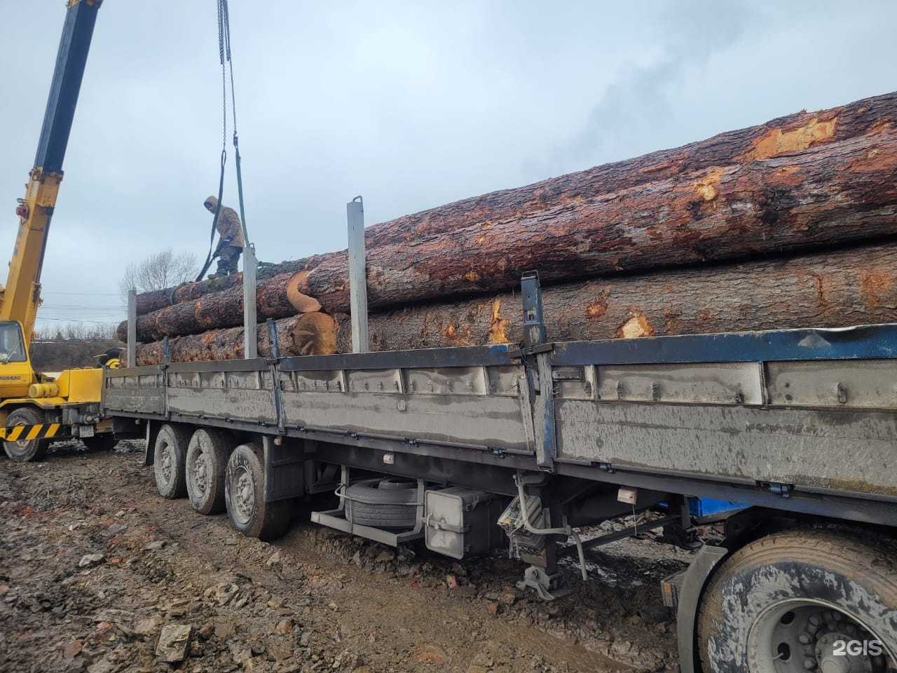 Отзывы на компанию Движение Сибири в Барнауле c фото