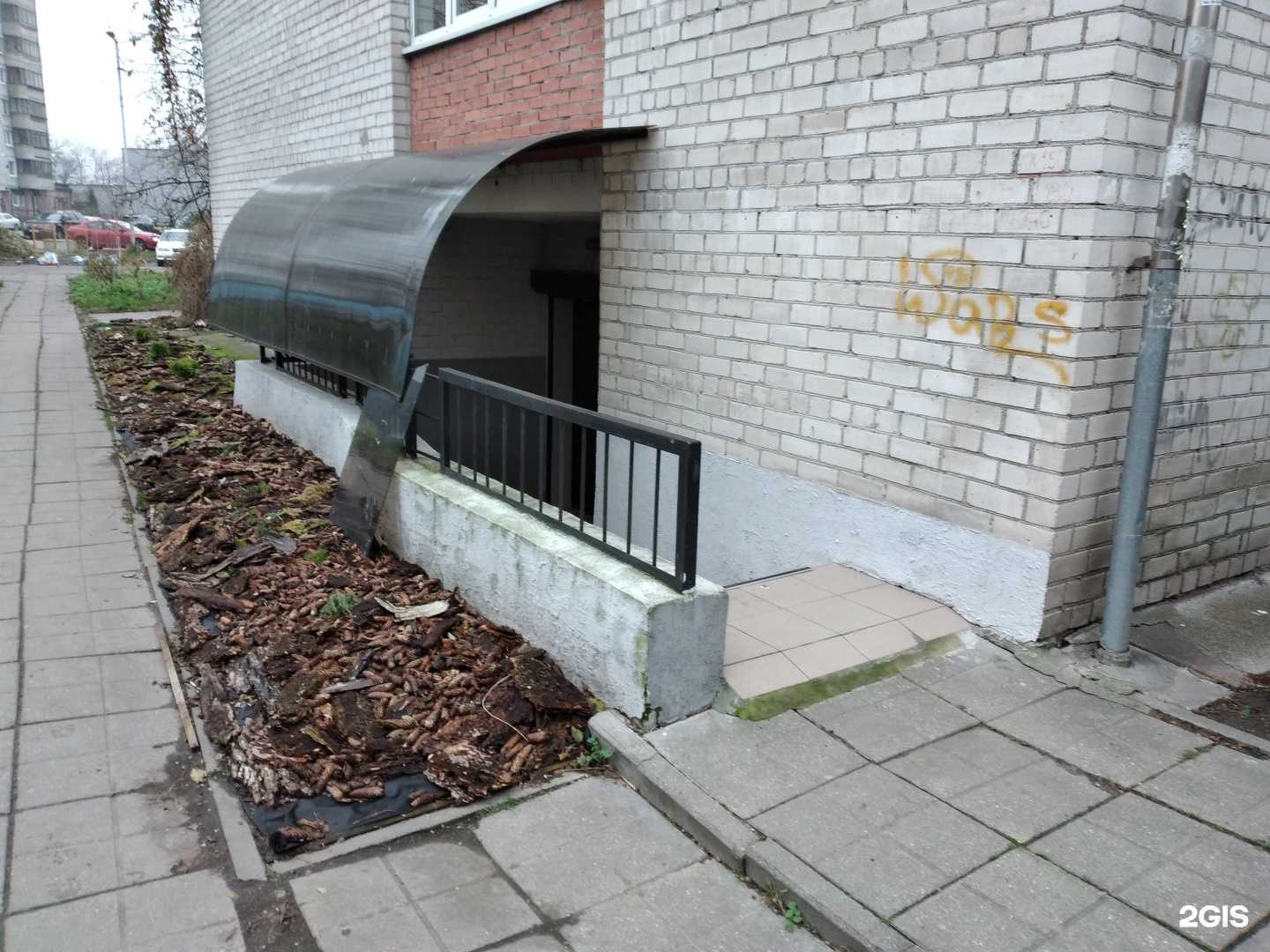 Отзывы на компанию Жасмин в Калининграде c фото