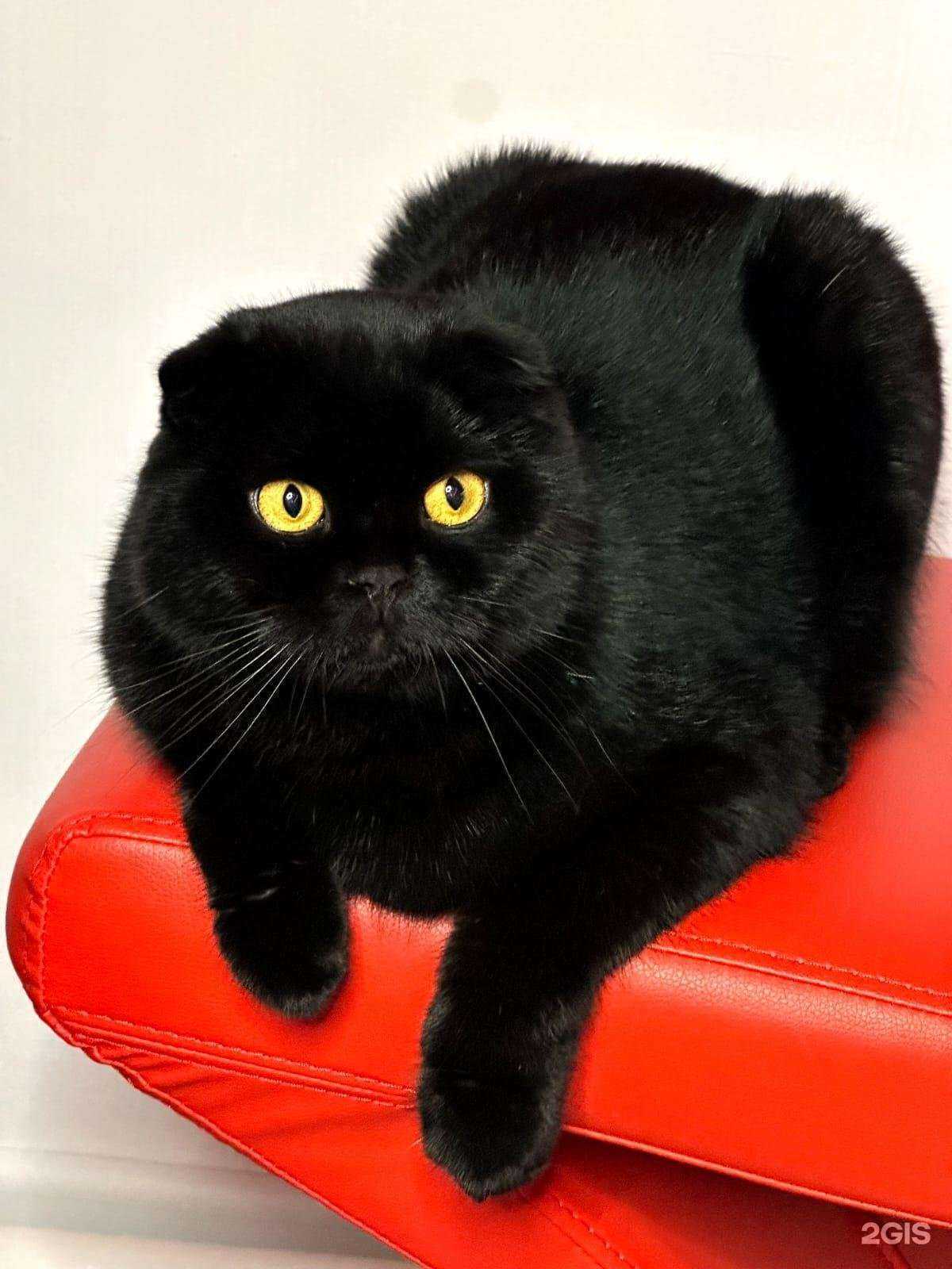 Отзывы на компанию Шарм в г. Смоленск c фото