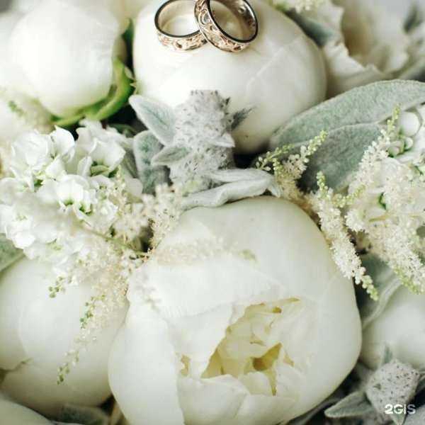 Отзывы на компанию Trison в Екатеринбурге c фото