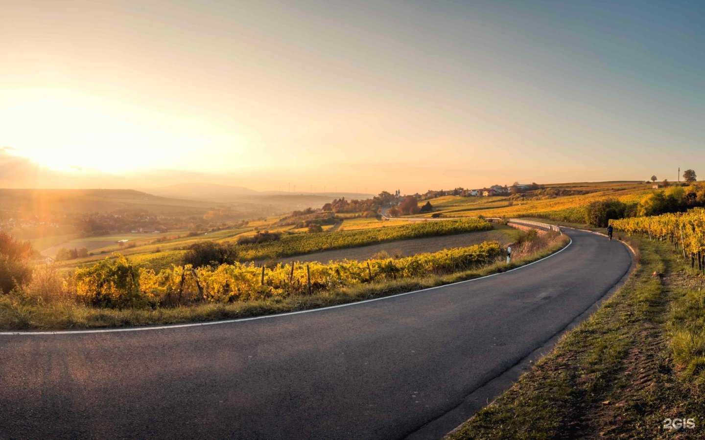 Отзывы на компанию Ингосстрах в г. Череповец c фото