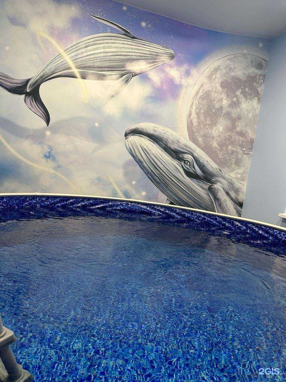 Отзывы на компанию Осьминожки в г. Екатеринбург c фото