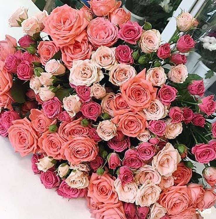 Отзывы на компанию Салон цветов и шаров в Иркутске c фото