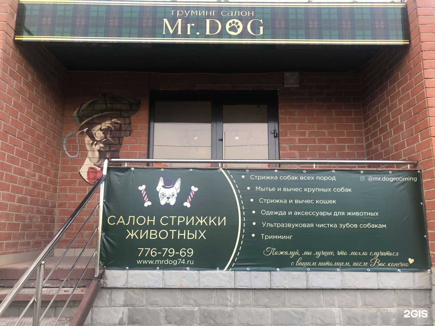 Отзывы на компанию Mr.Dog в г. Челябинск c фото