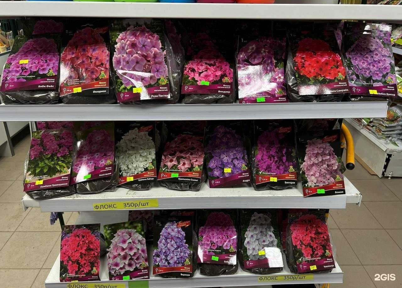 Отзывы на компанию Плодородие в Сургуте c фото