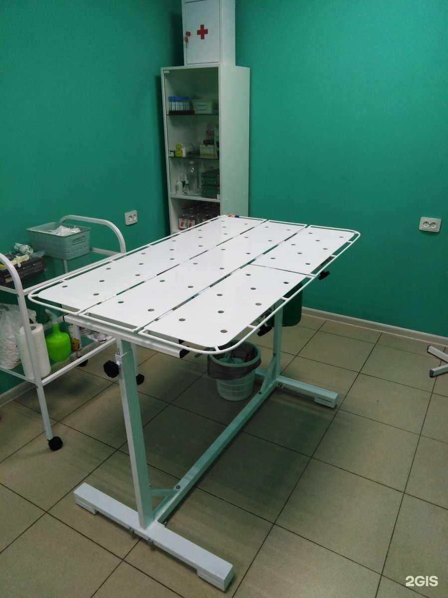 Отзывы на компанию Циветта в Ростове-на-Дону c фото