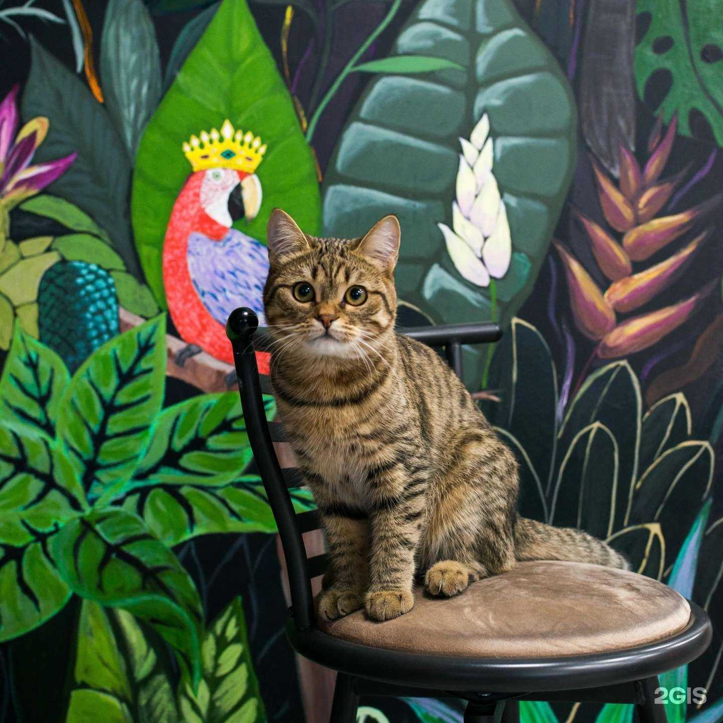 Отзывы на компанию Top Man в Челябинске c фото