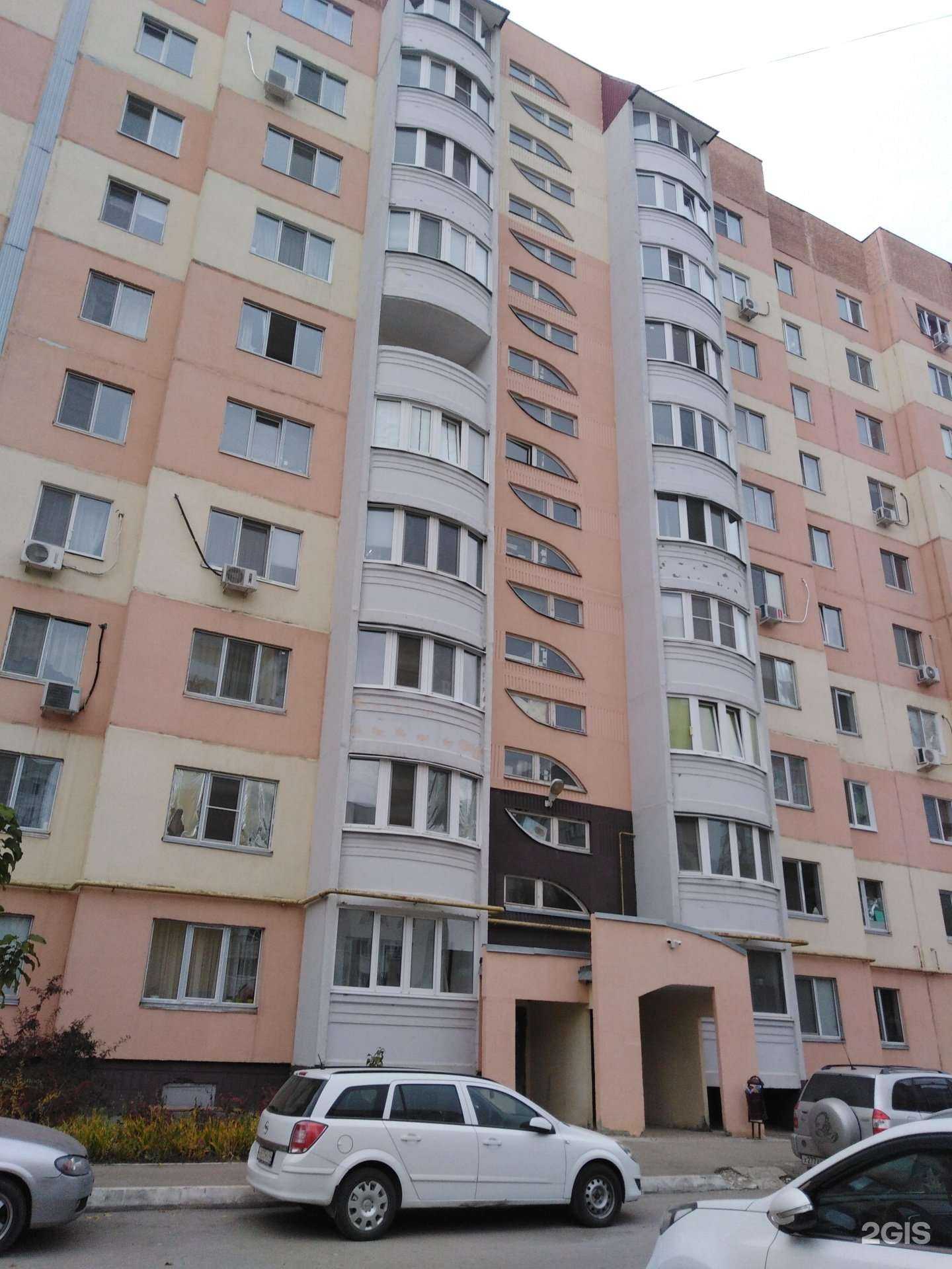 Отзывы на компанию Zoopersona в Саратове c фото - фотография 2 из 2