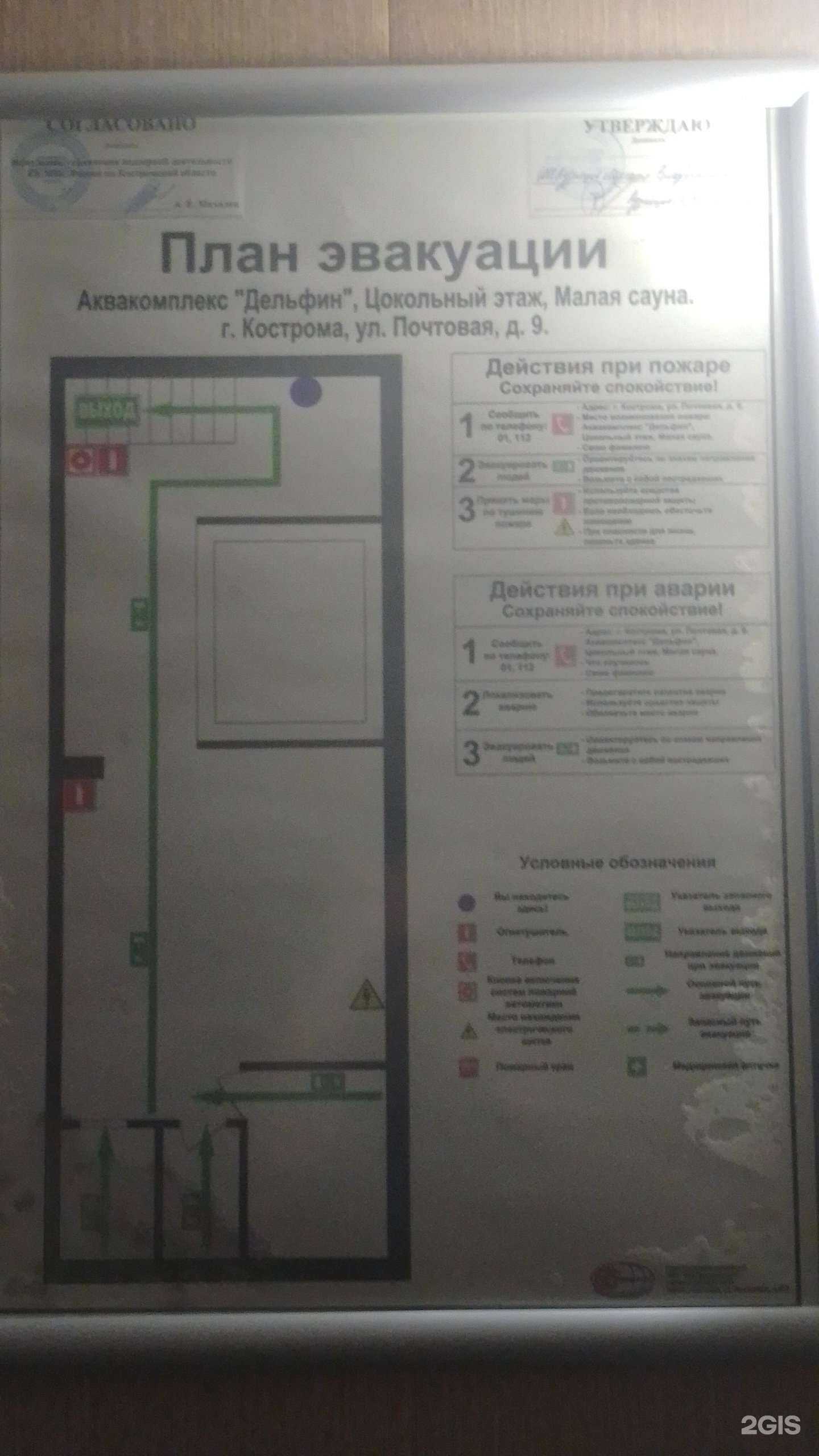 Отзывы на компанию Дельфин в Костроме c фото - фотография 2 из 2