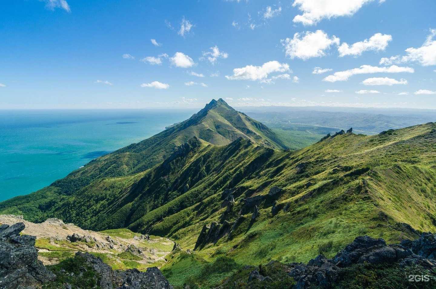 Отзывы на компанию Путина в г. Новосибирск c фото