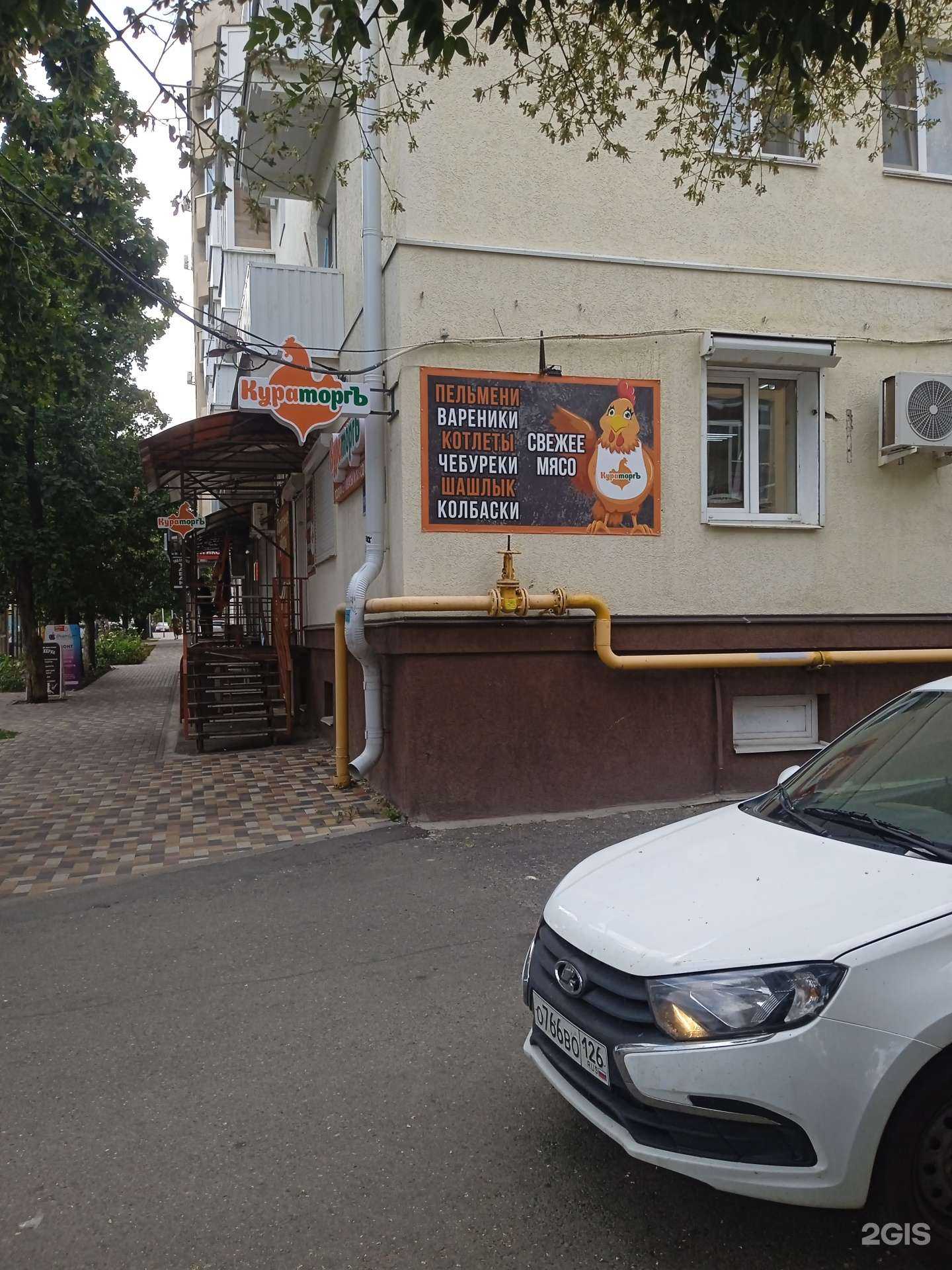 Отзывы на компанию Кураторгъ в Ставрополе c фото