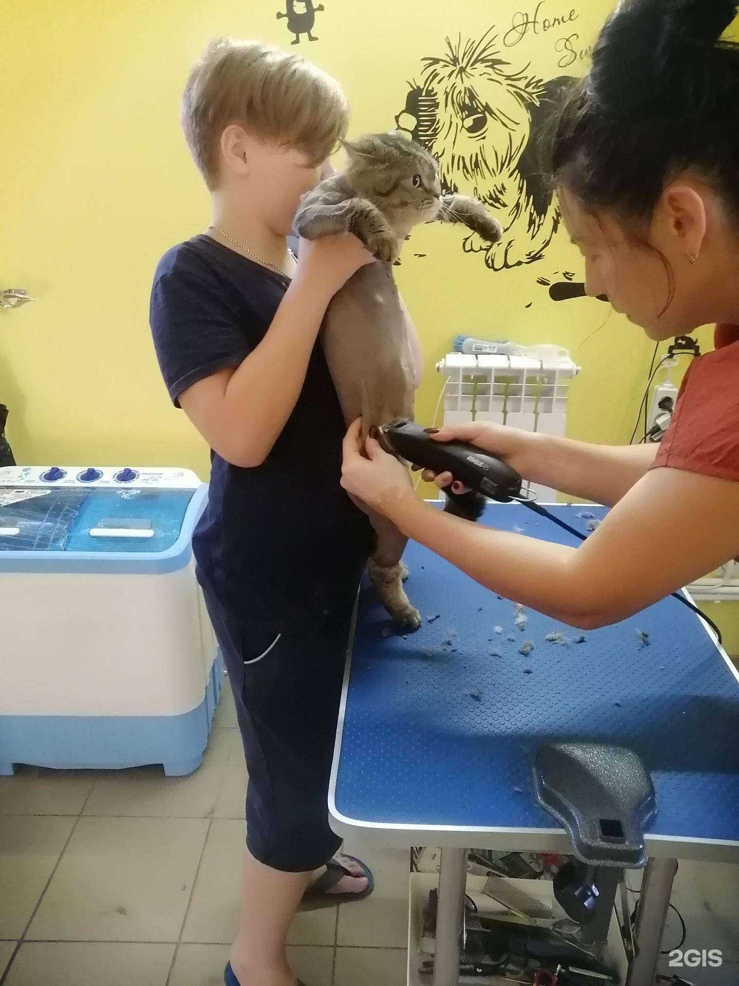 Отзывы на компанию Моника в г. Ростов-на-Дону c фото