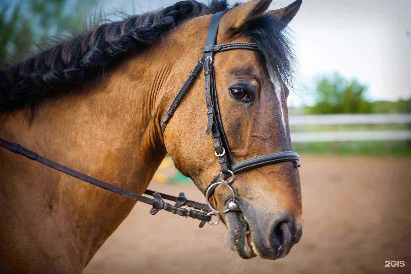 Отзывы на компанию Марков и К в г. Оренбург c фото