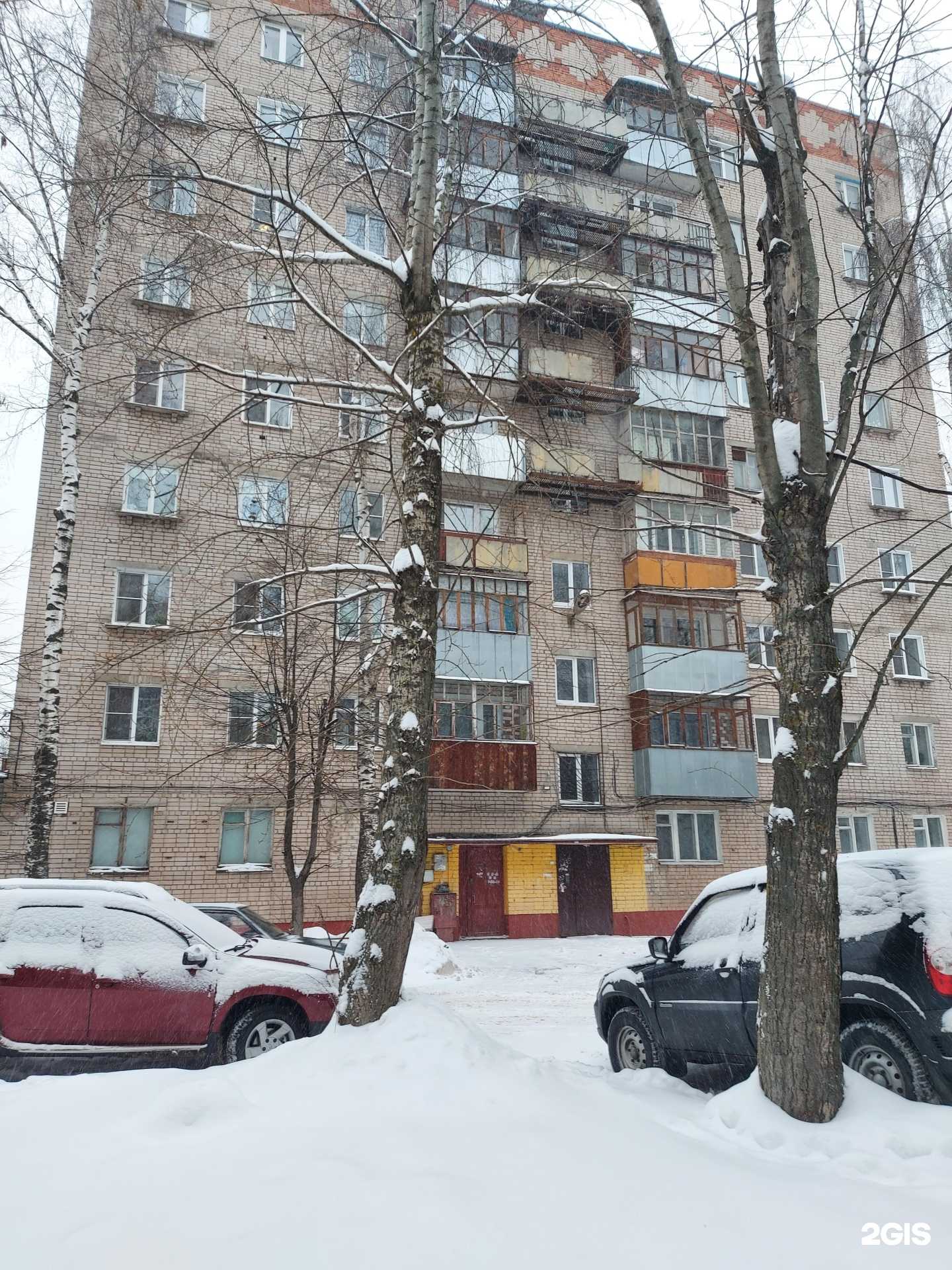 Отзывы на компанию Зоомагазин в Иванове c фото - фотография 2 из 2