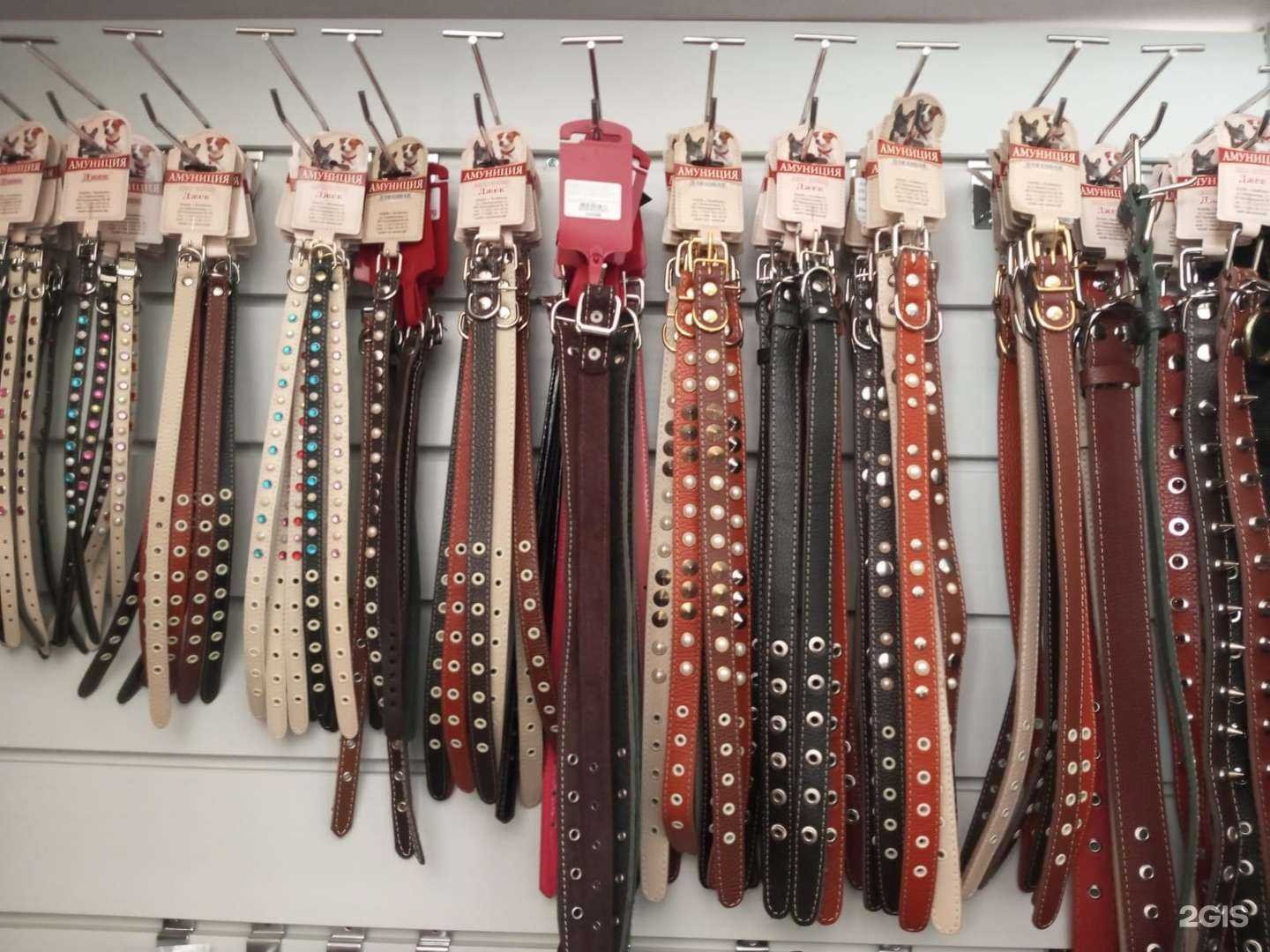 Отзывы на компанию Зооомскопт в Омске c фото