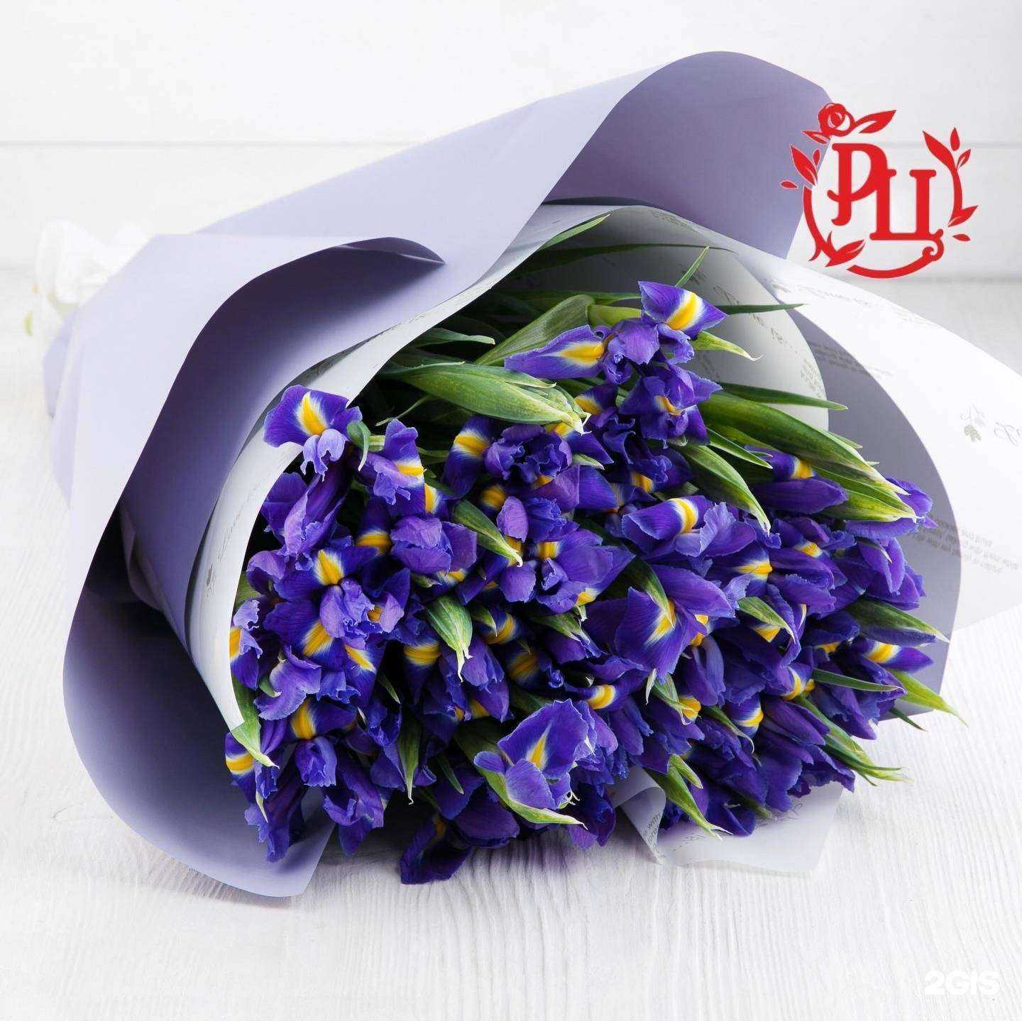 Отзывы на компанию Радуга цветов в г. Красноярск c фото