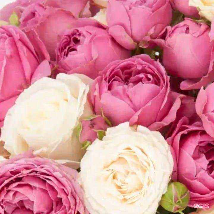 Отзывы на компанию Bibi studio в Уфе c фото