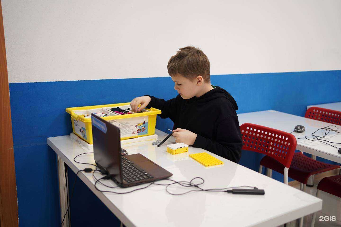 Отзывы на компанию Мистер Брейни в Тюмени c фото