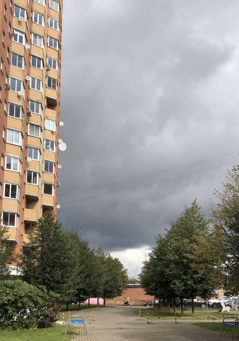 Отзывы на компанию Квадро проф в Истре c фото - фотография 2 из 2