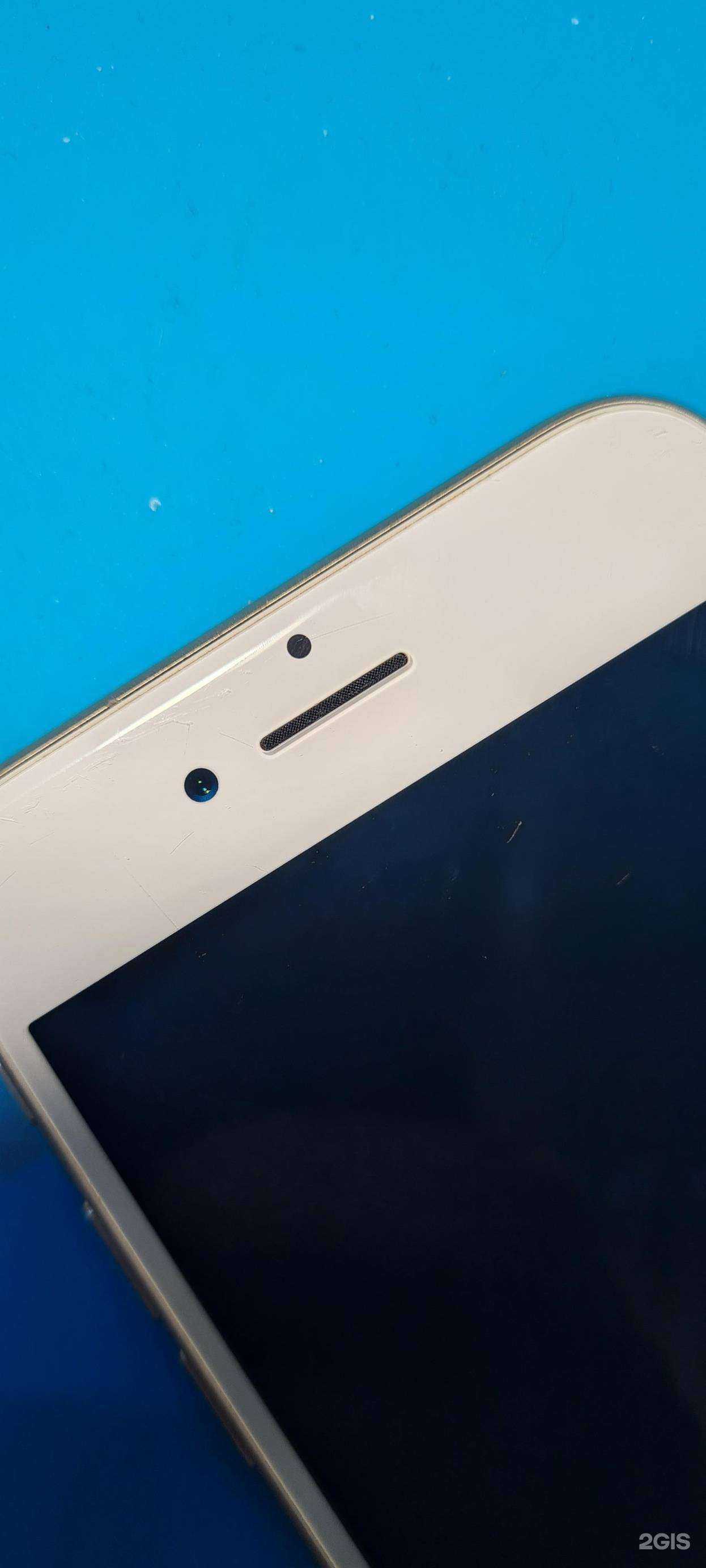 Отзывы на компанию Точка в г. Красноярск c фото