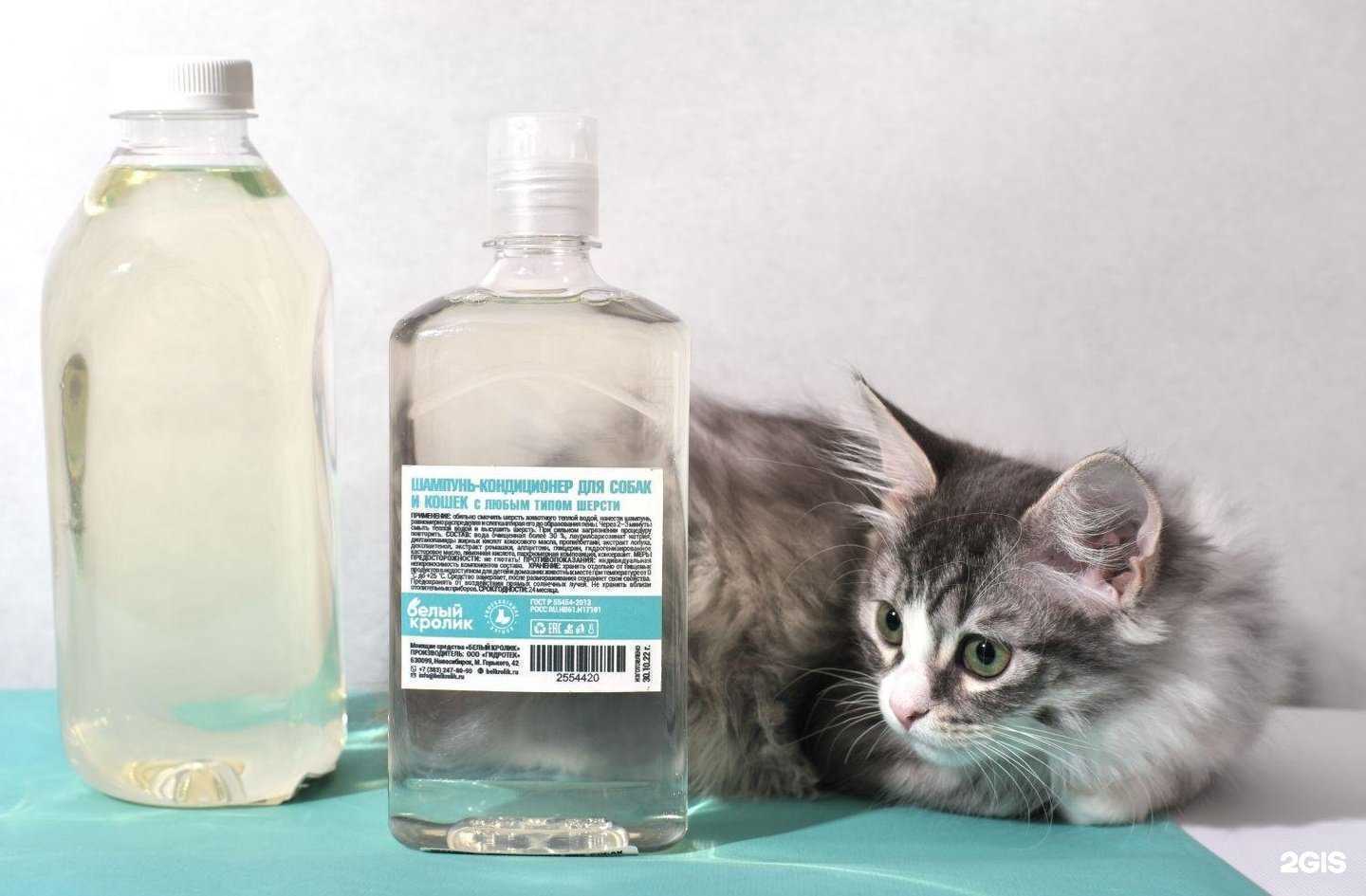 Отзывы на компанию Белый кролик в г. Новосибирск c фото