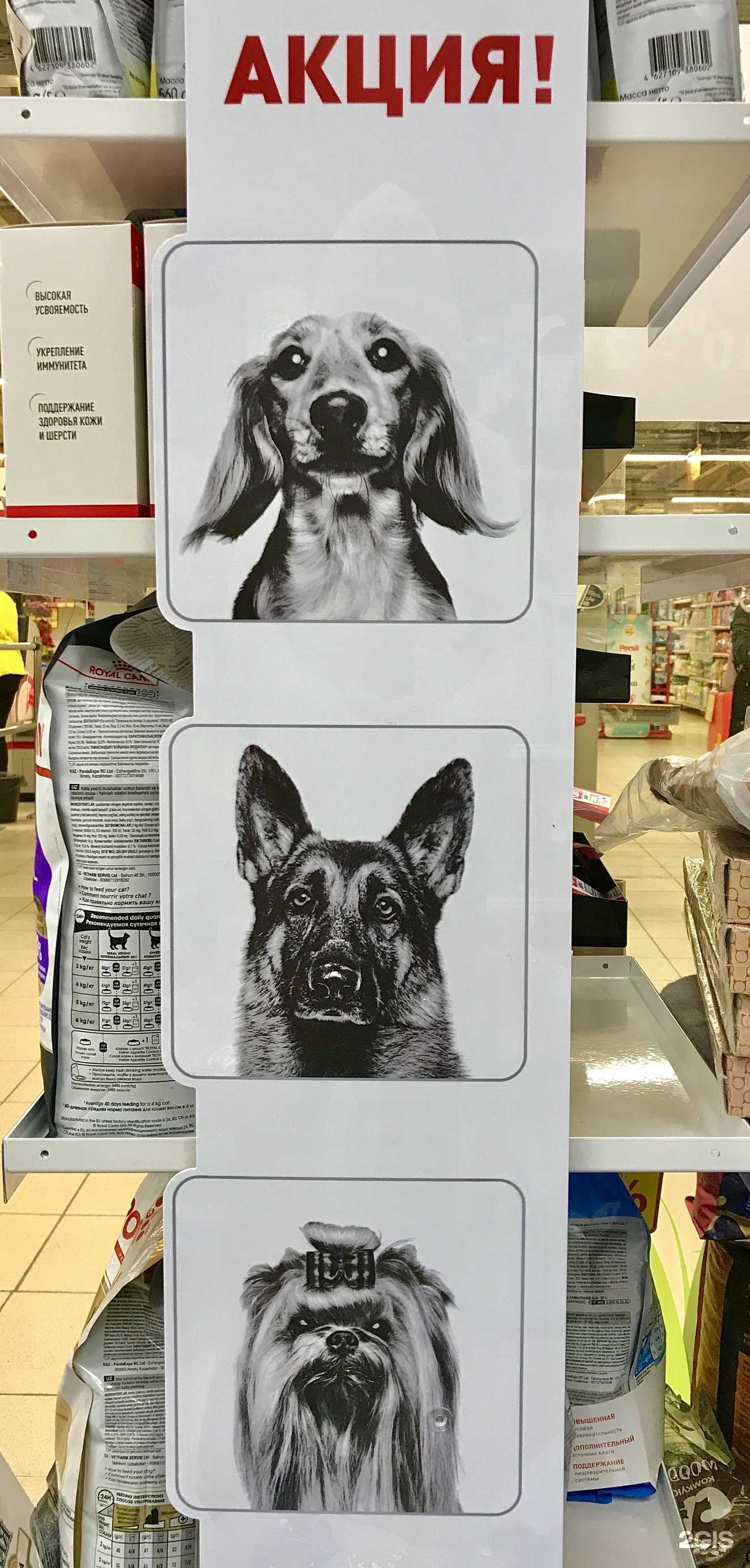 Отзывы на компанию PetStar`s в Перми c фото