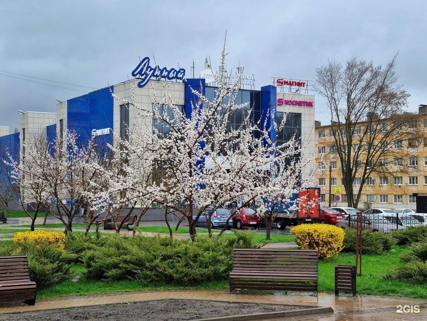 Отзывы на компанию Imax_Store в Старом Осколе c фото