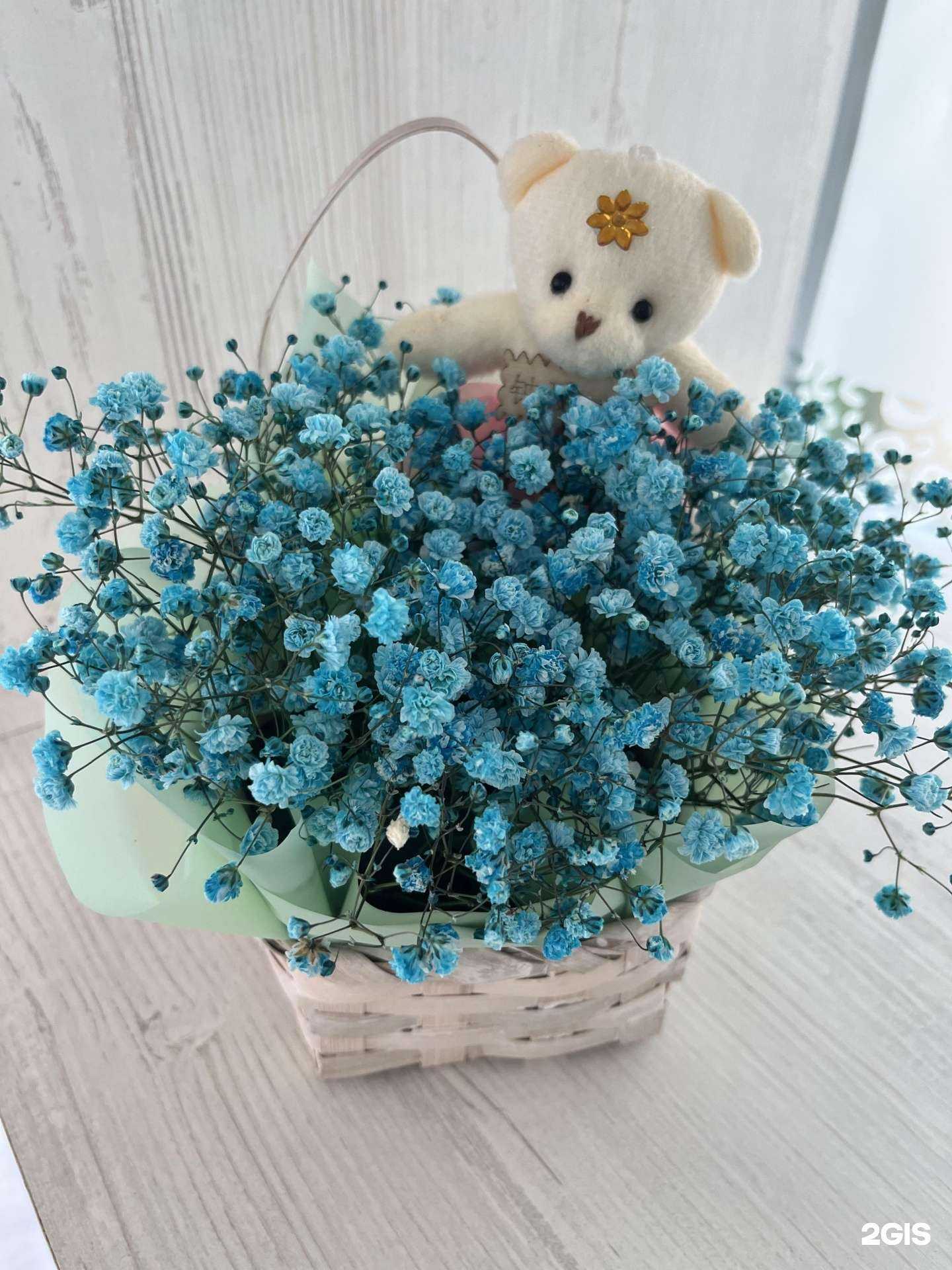 Отзывы на компанию Gir Flowers в Нижнекамске c фото