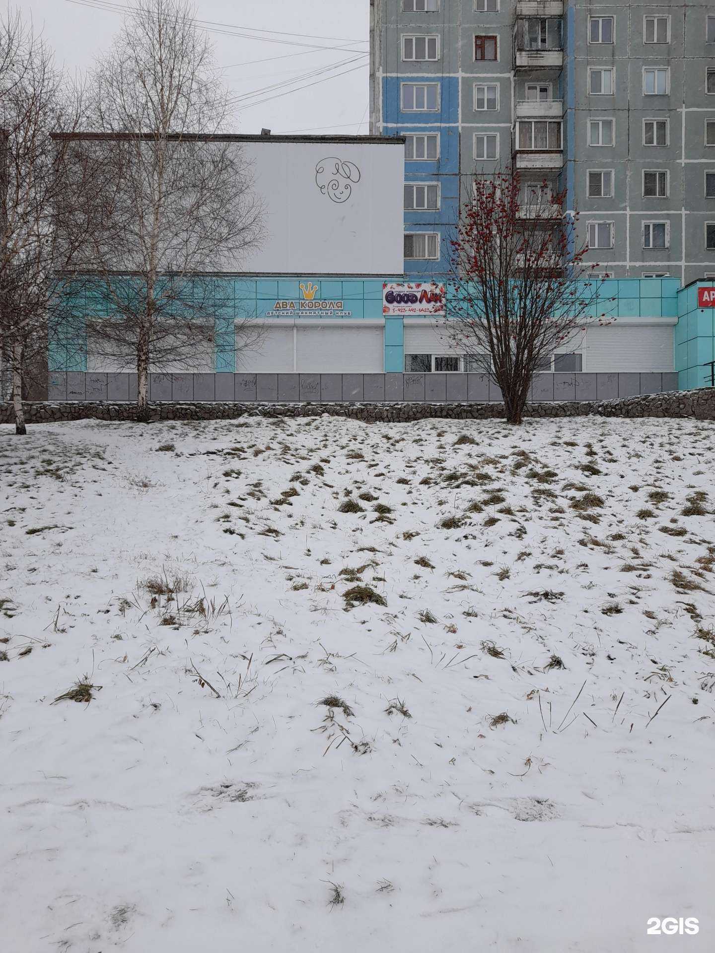 Отзывы на компанию ДОБРОВЕТ в Новокузнецке c фото - фотография 2 из 2