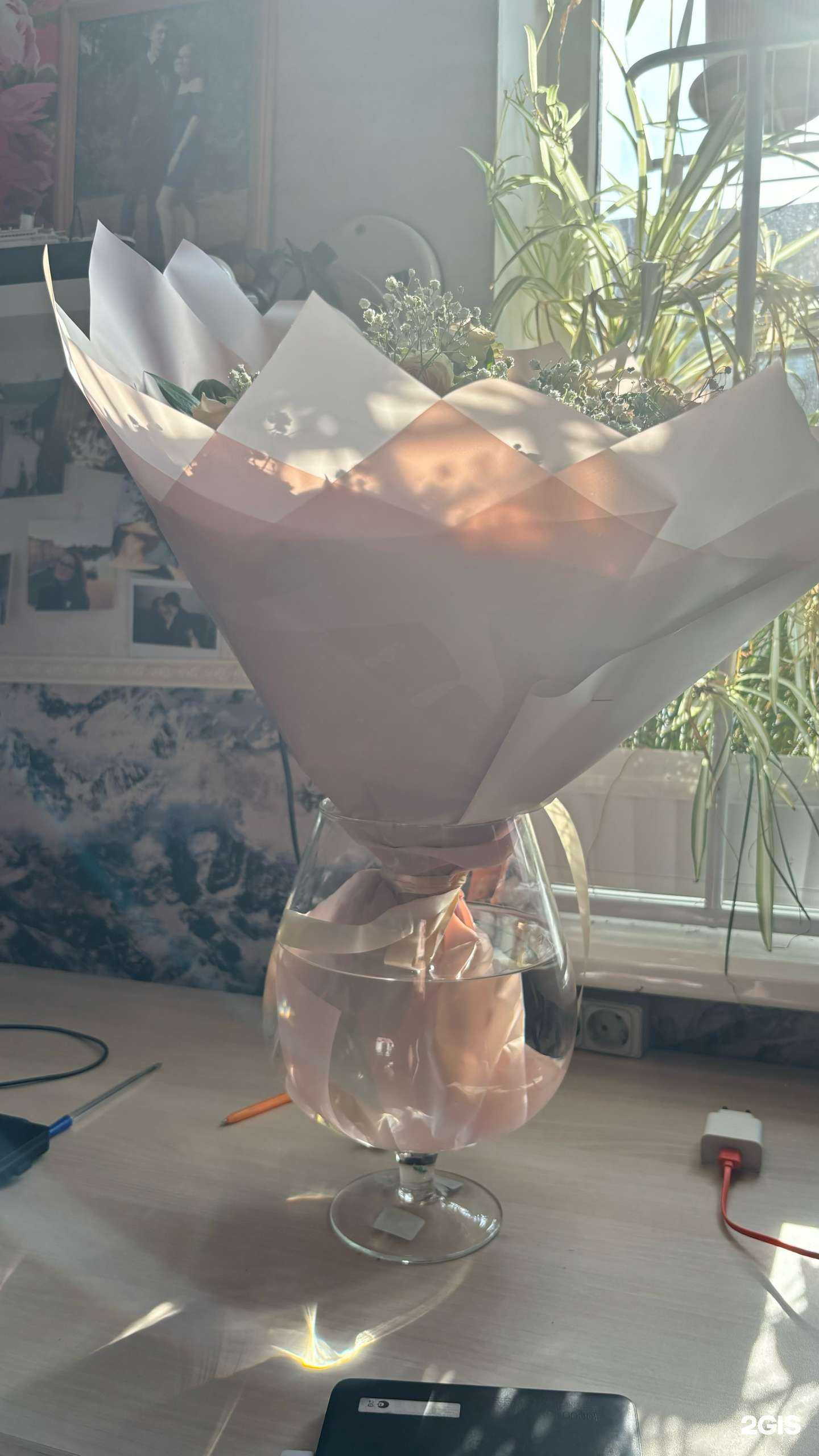 Отзывы на компанию Лотос в г. Краснодар c фото