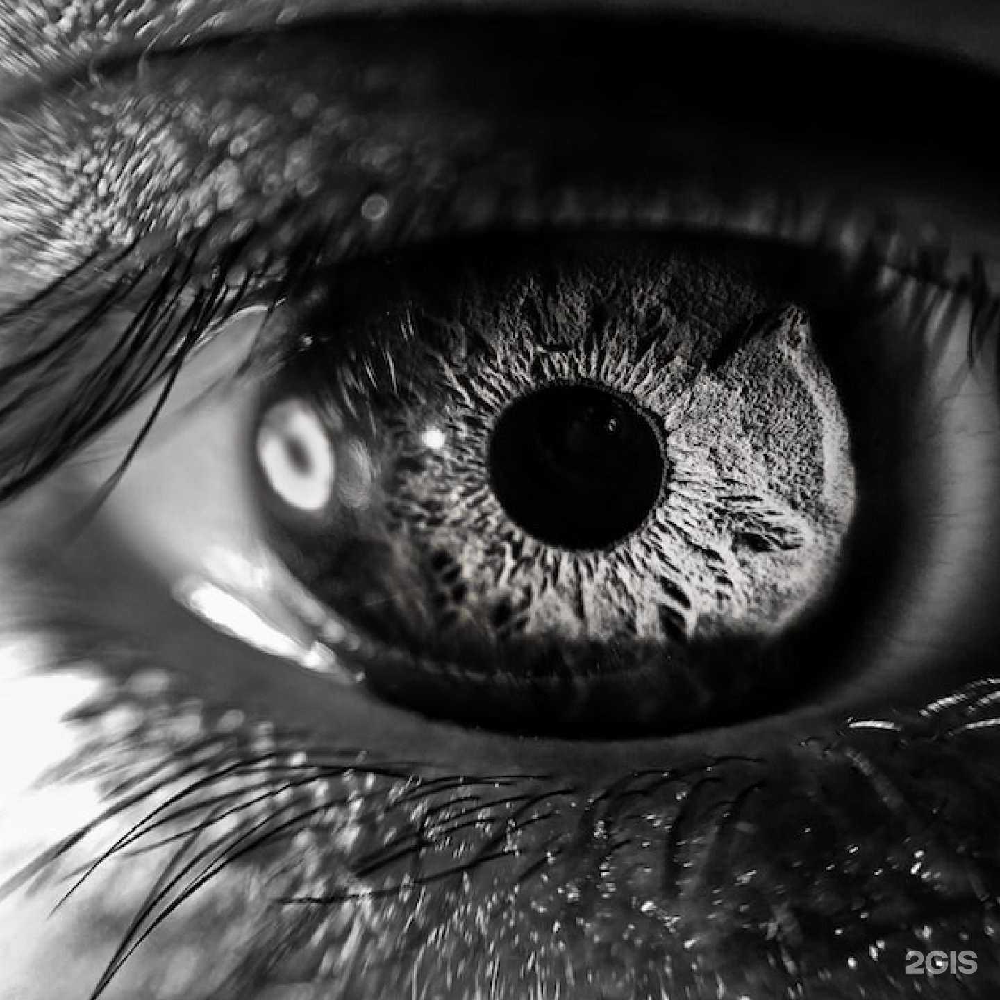 Отзывы на компанию Enter в Пскове c фото