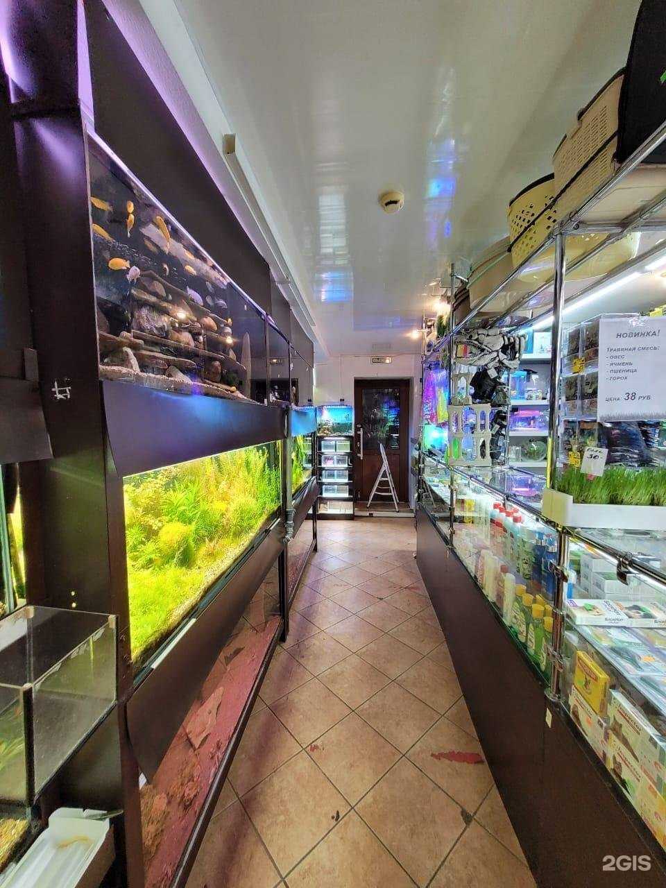 Отзывы на компанию Пиранья в Стерлитамаке c фото