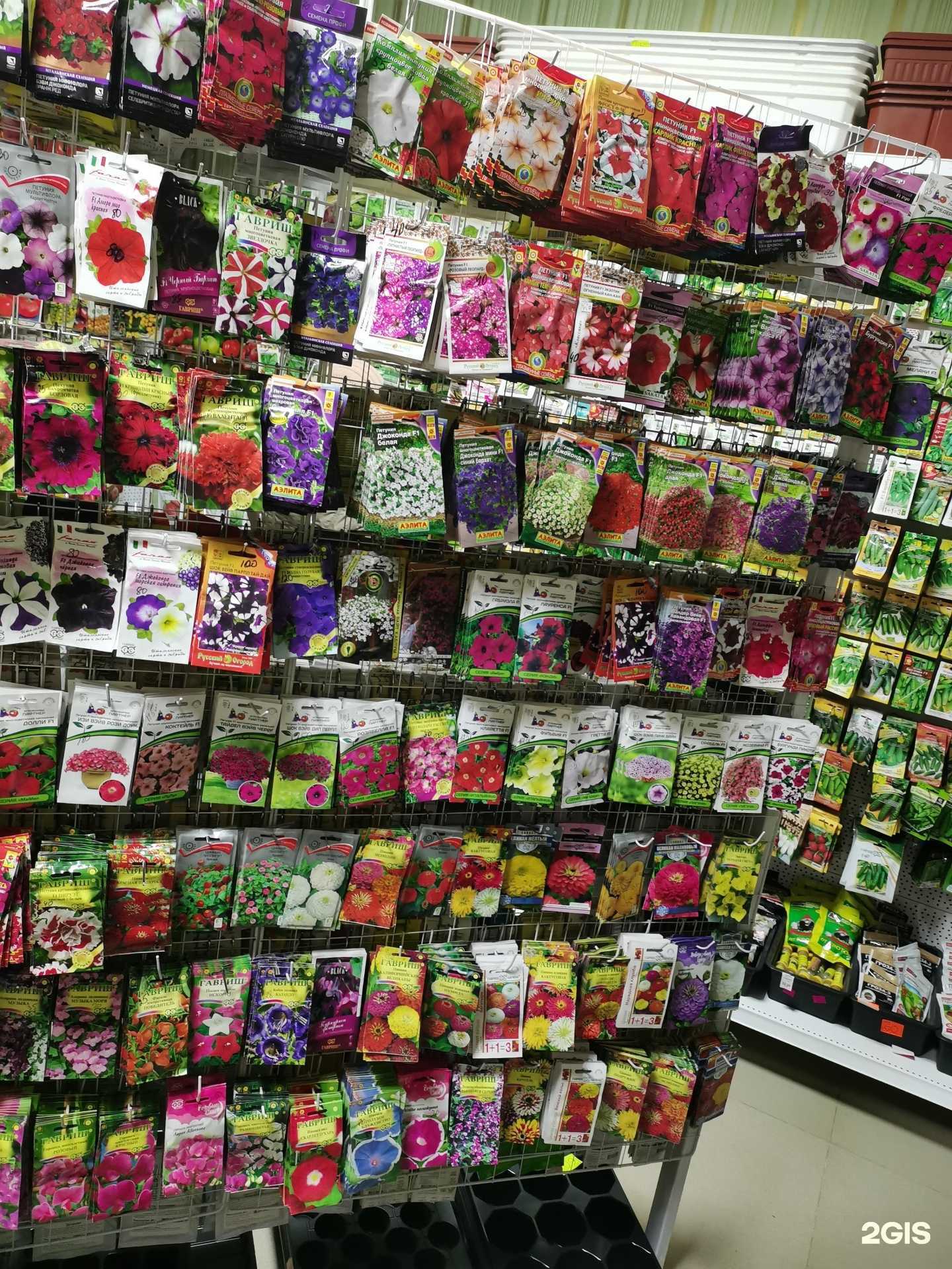 Отзывы на компанию Нескучный сад в Минеральных Водах c фото