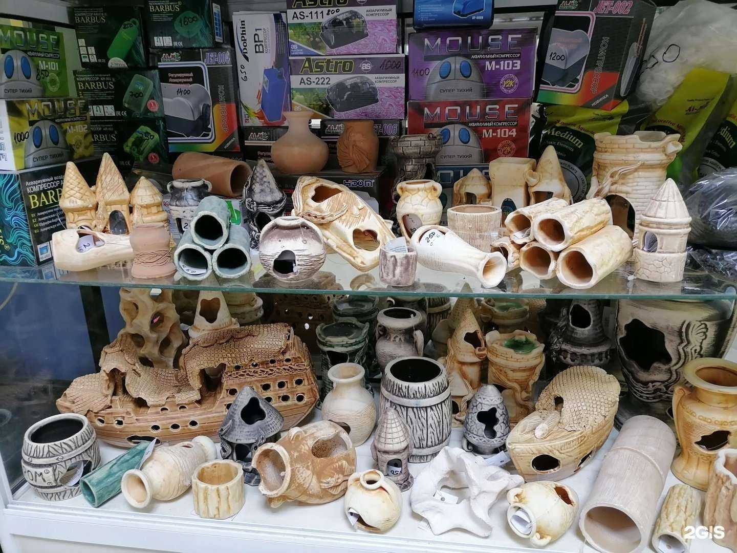 Отзывы на компанию Аквариум в г. Курган c фото