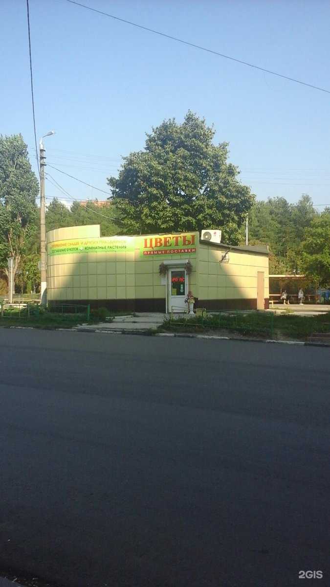 Отзывы на компанию Анастасия в Туле c фото