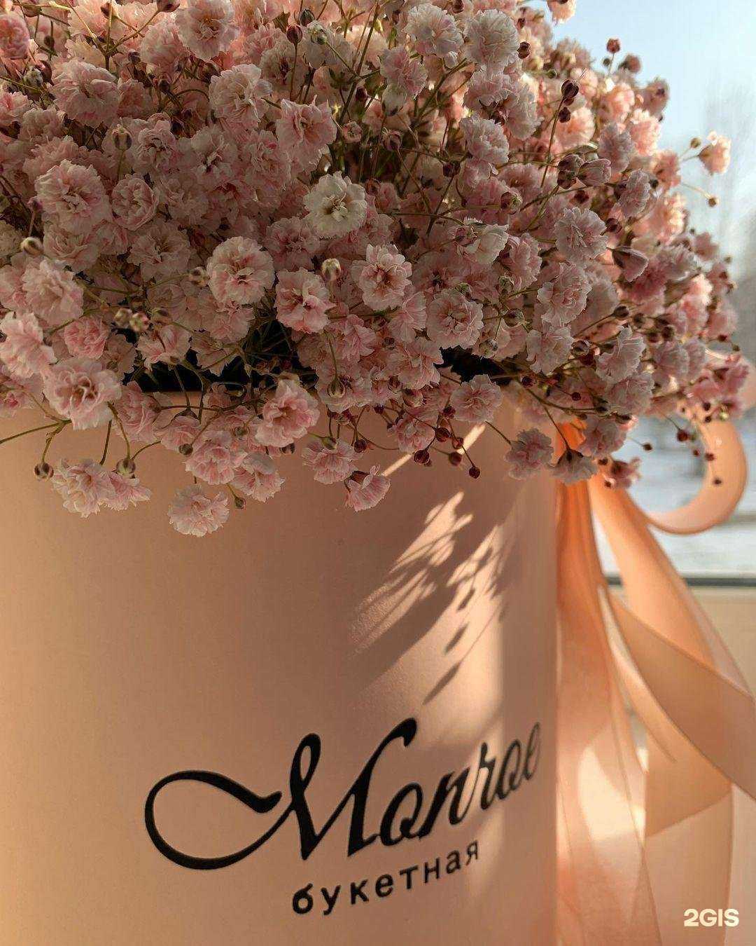 Отзывы на компанию Монро в г. Ангарск c фото