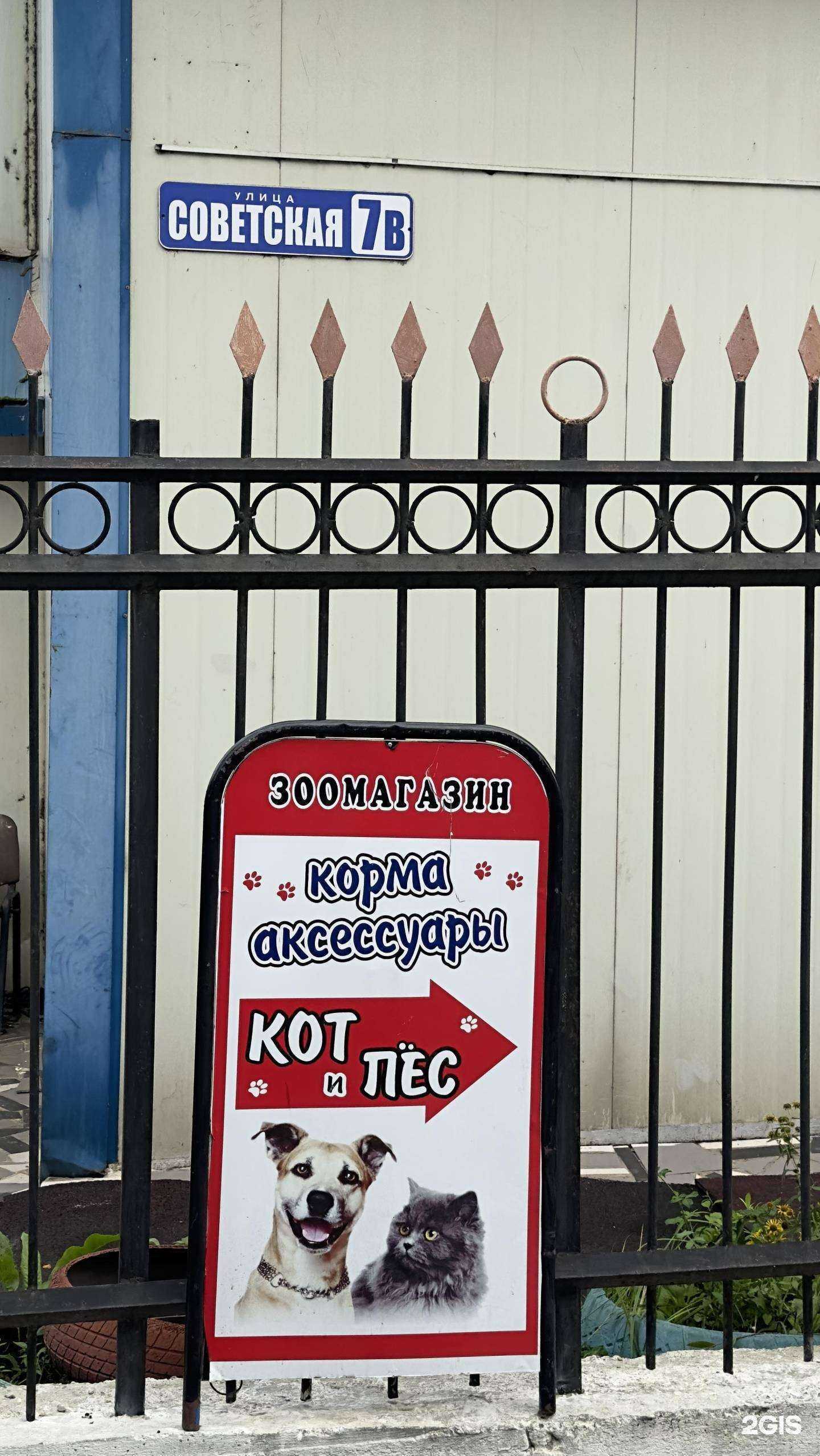 Отзывы на компанию Кот и пёс в г. Находка c фото