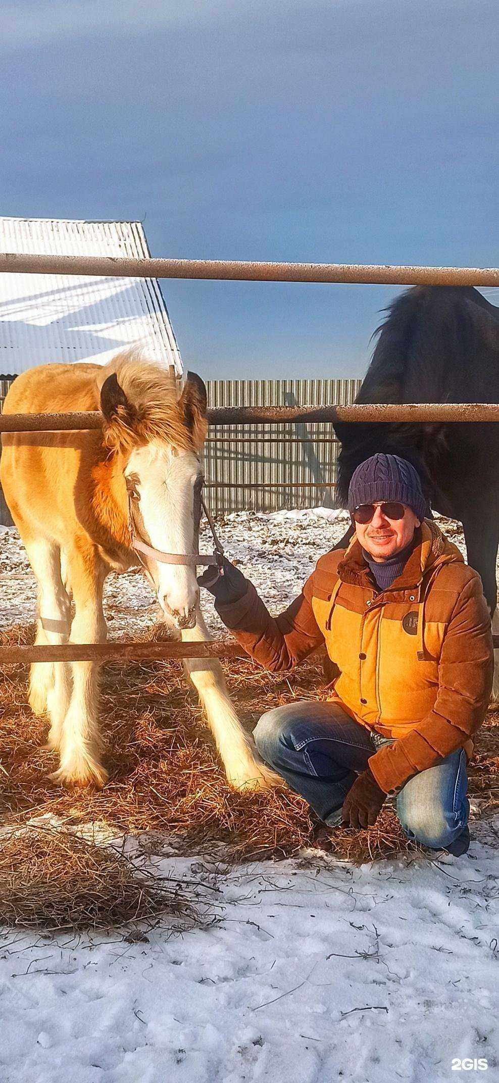 Отзывы на компанию Радужный в г. Киров c фото