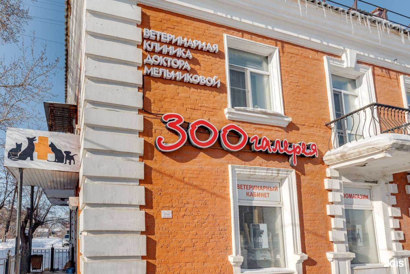 Отзывы на компанию Ветеринарная клиника доктора Мельниковой в г. Омск c фото