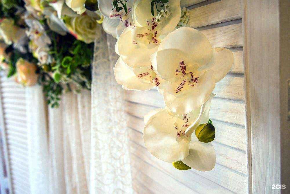 Отзывы на компанию Виват в г. Воронеж c фото