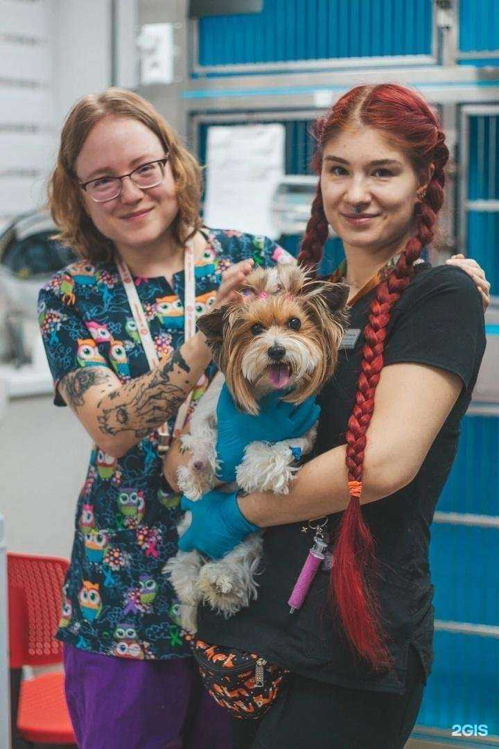 Отзывы на компанию Бенивет в г. Самара c фото