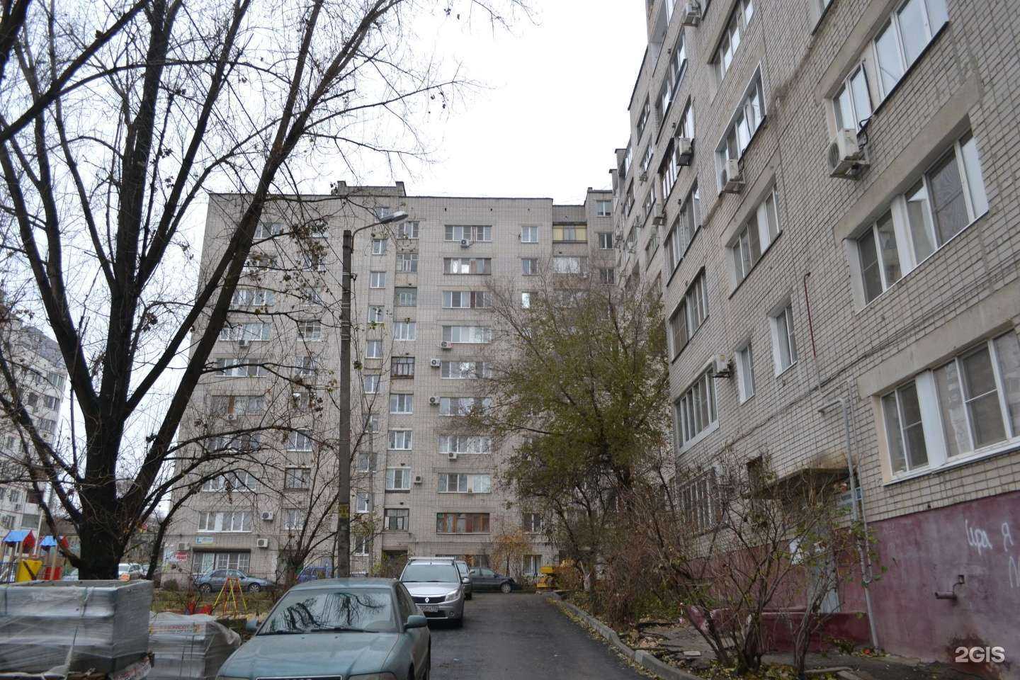 Отзывы на компанию 101 хвост в Волгограде c фото - фотография 2 из 2