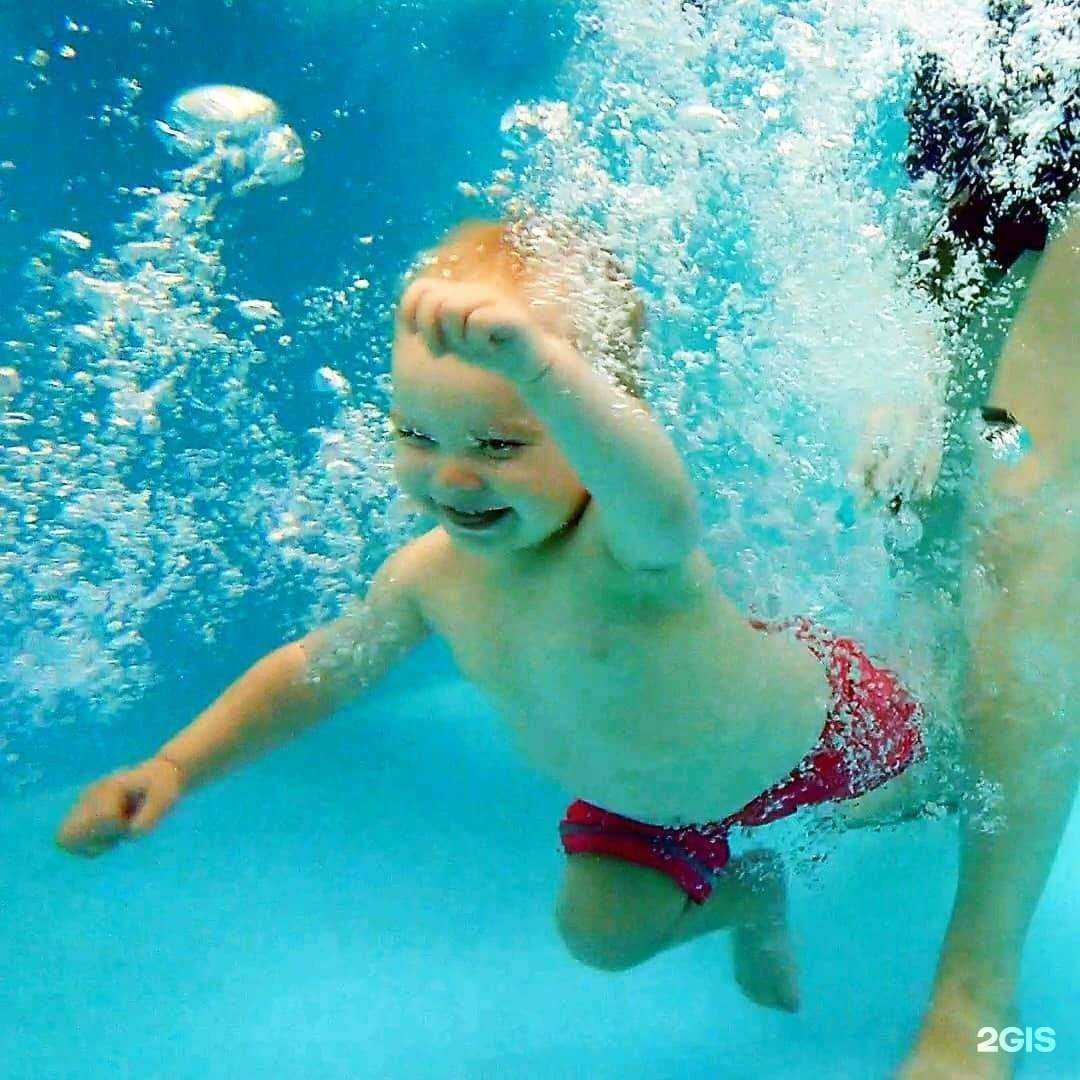 Отзывы на компанию Я-чемпион в г. Анапа c фото