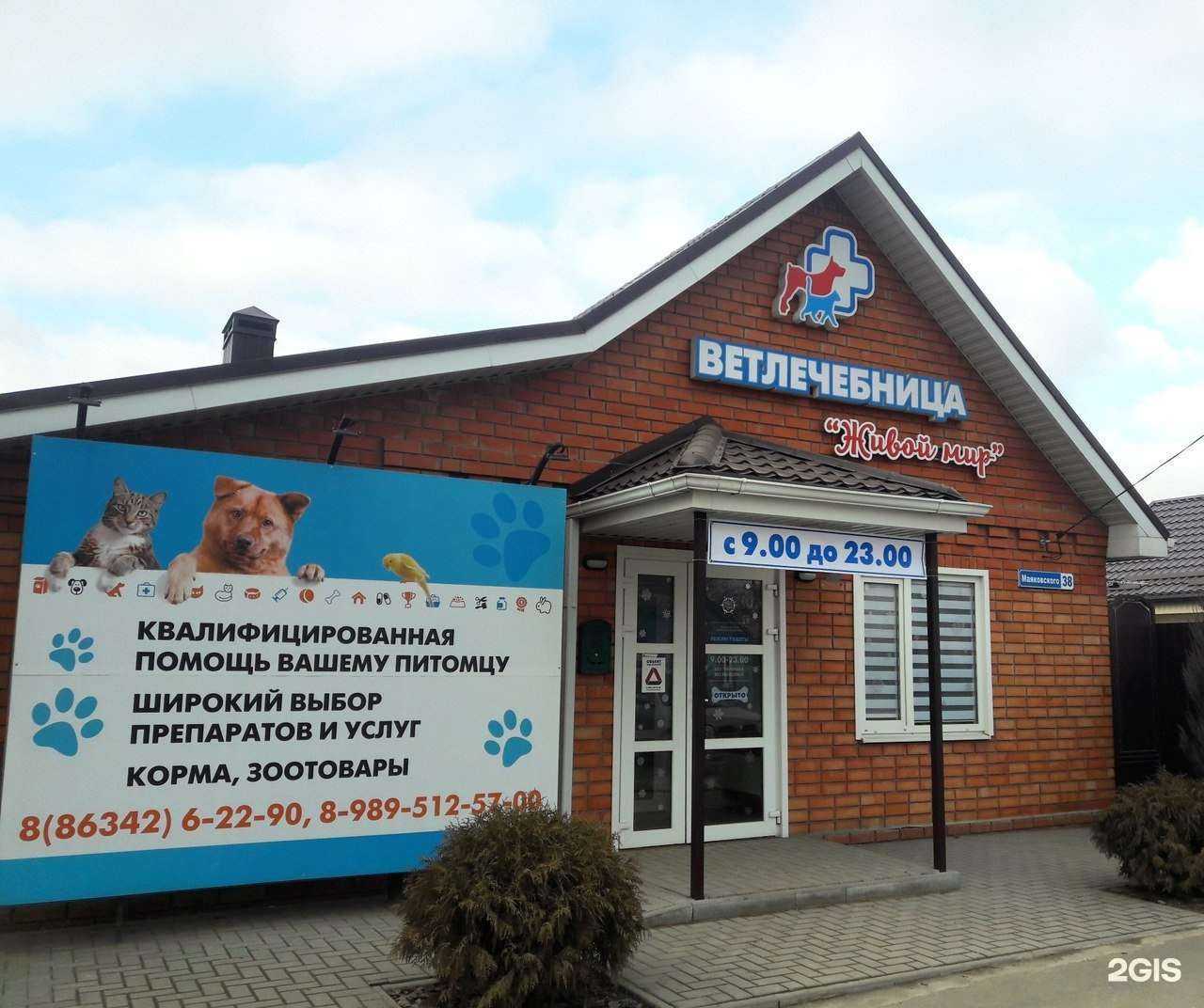 Отзывы на компанию Живой Мир в Азове c фото