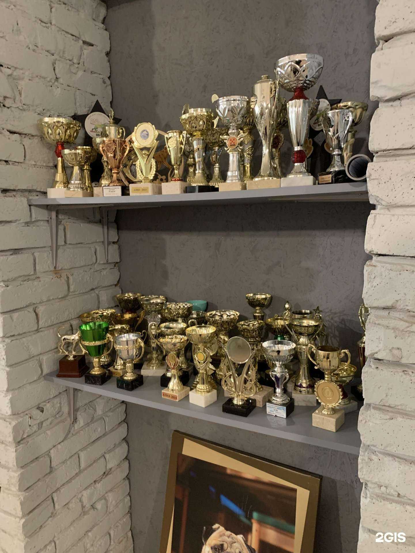 Отзывы на компанию Шоу-дог в Барнауле c фото