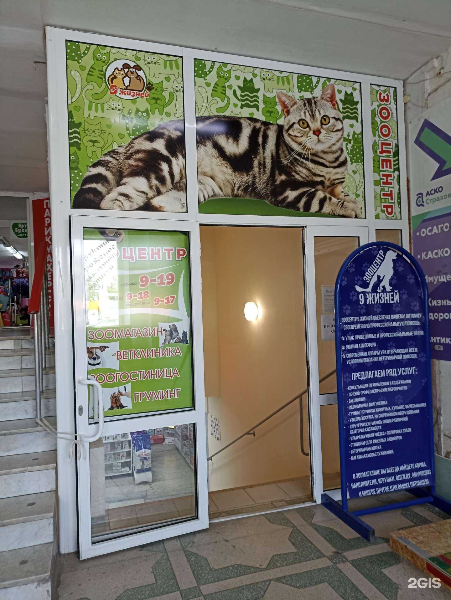Отзывы на компанию 9 жизней в Южноуральске c фото