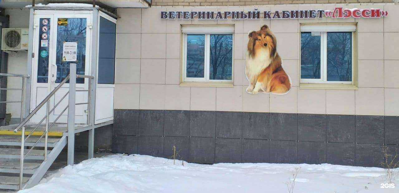 Отзывы на компанию Лэсси в Копейске c фото