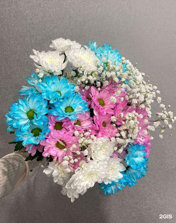 Отзывы на компанию Дари Красиво в Кирове c фото