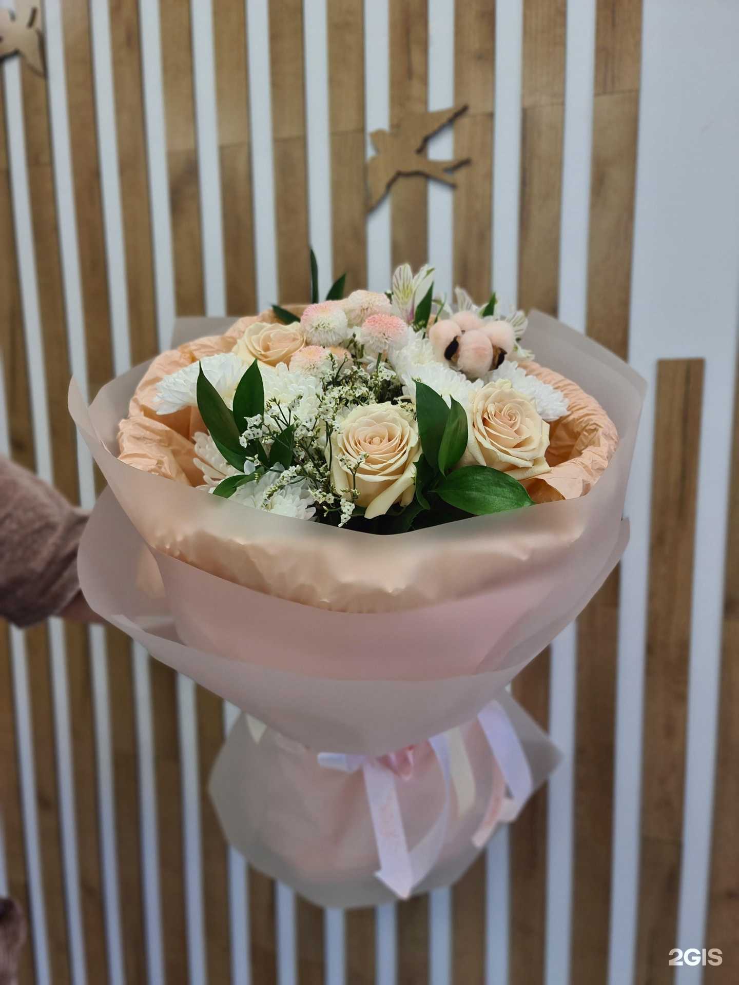 Отзывы на компанию Ботаника в г. Прокопьевск c фото